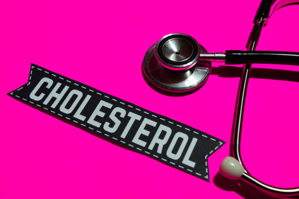 Что нельзя есть при высоком холестерине: список продуктов у женщин после 50 лет?